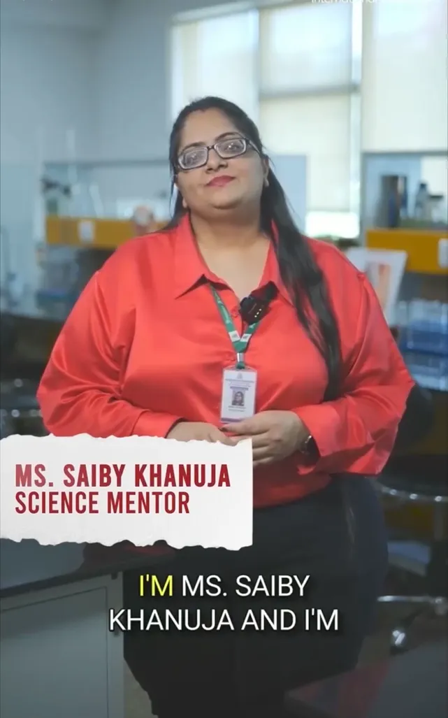 Mentor Testimonial 1